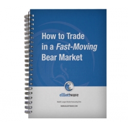 Wayne Gorman - How to Trade in a Fast-Moving Bear Market 